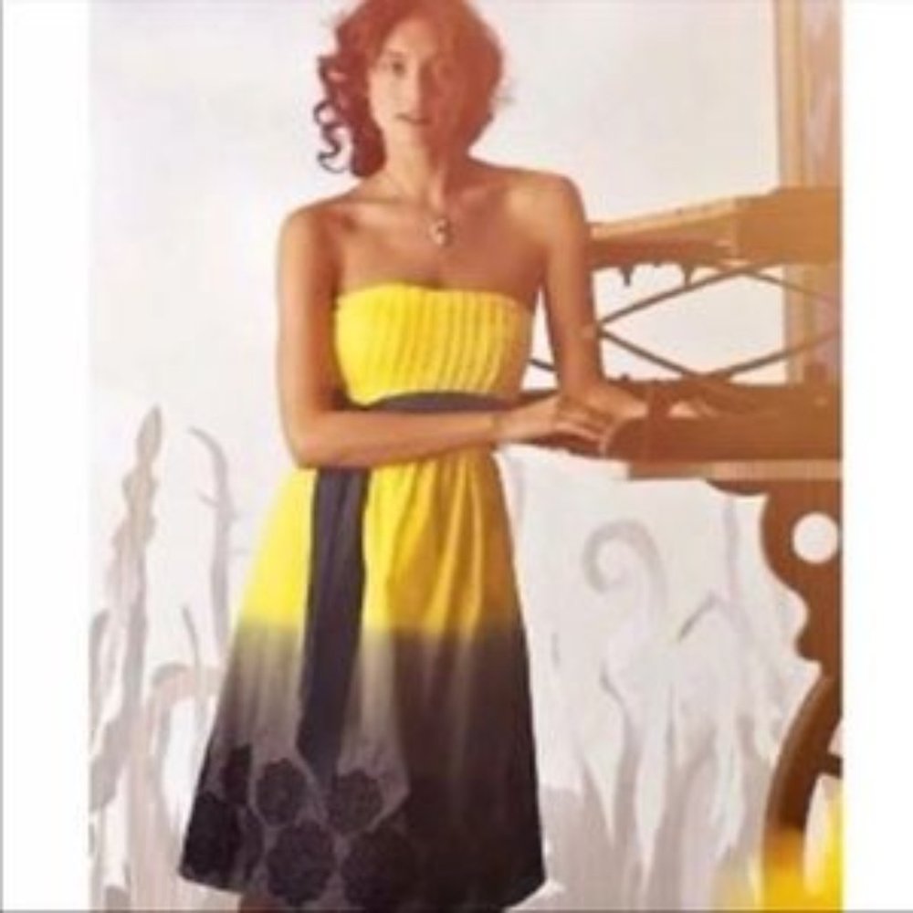 Anthropologie Lithe Dream Hunter Ombre Dress